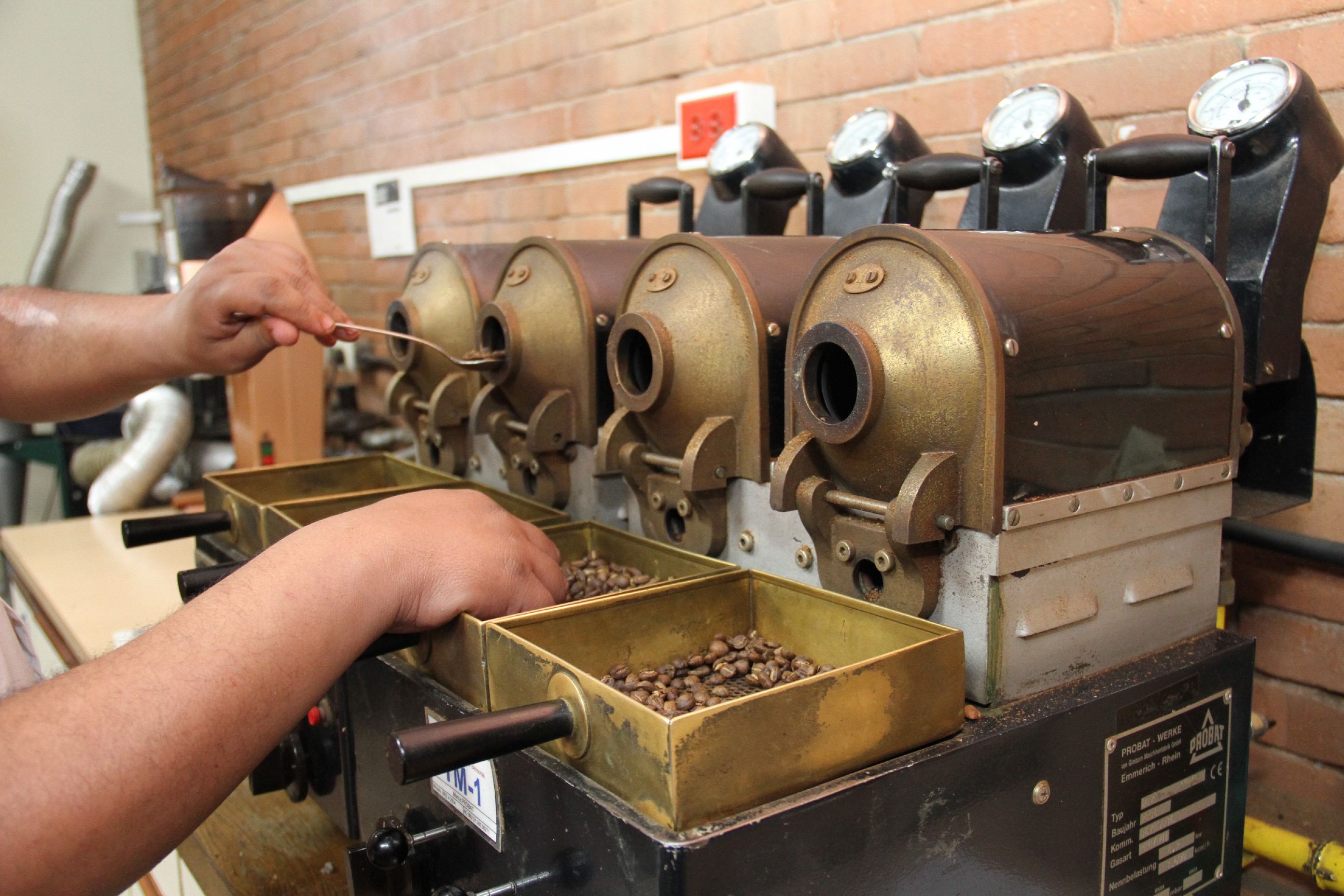 coffee tour medellin reddit